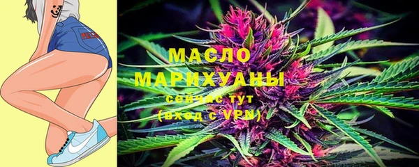 дмт Алзамай