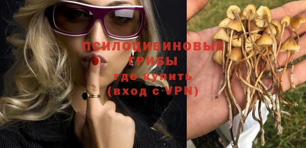 Альфа ПВП Алексеевка