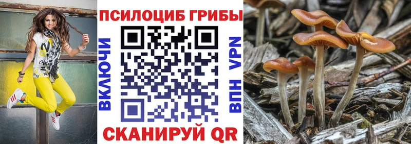 как найти   Кольчугино  Галлюциногенные грибы ЛСД 